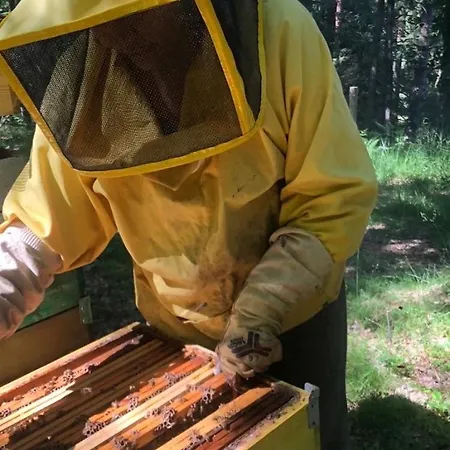 La Casa Nel Bosco Alloggio per agriturismo *