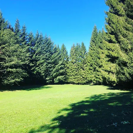La Casa Nel Bosco * Boveglio