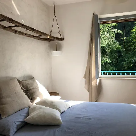 La Casa Nel Bosco *